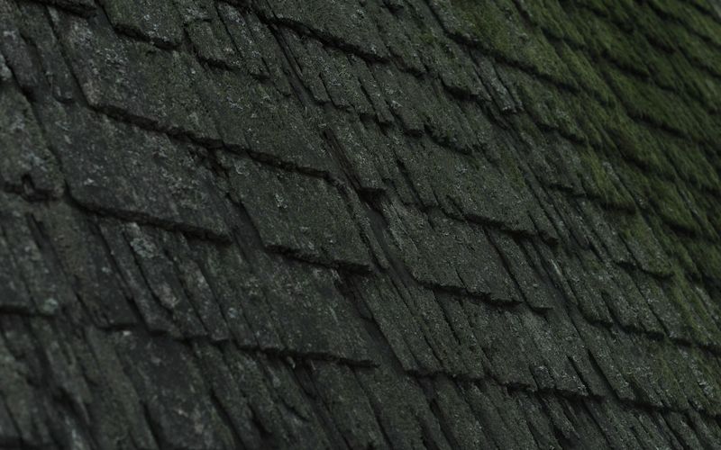 a close up of a roof with moss growing on it