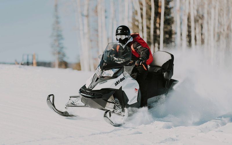 snowmobile speeding on snow near tree lines
