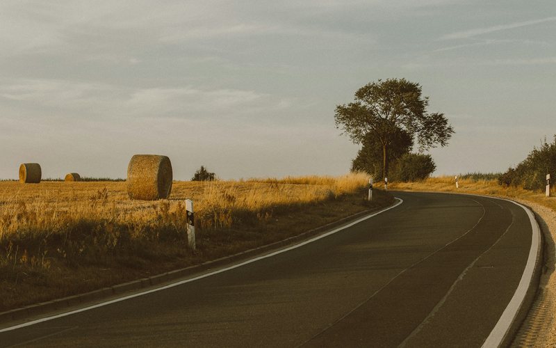 a road with a tree on the side