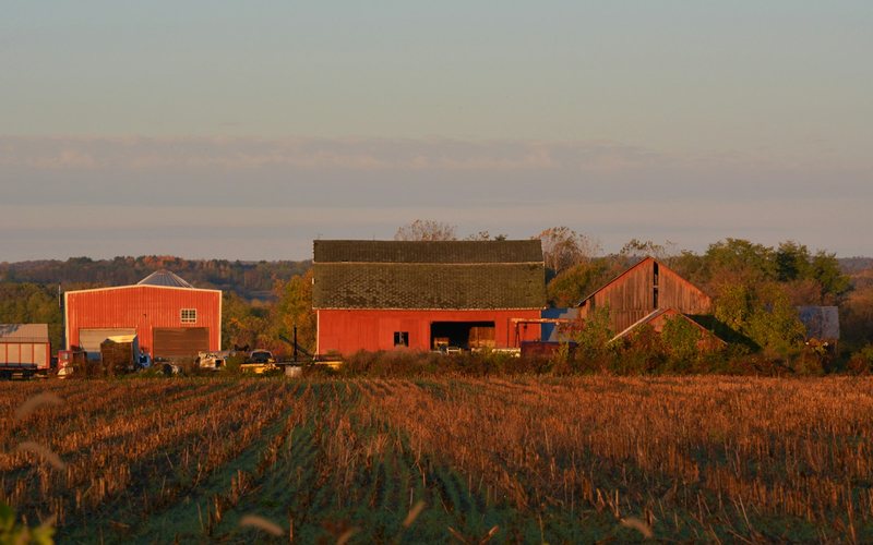 Farm buildings in a field at sunset