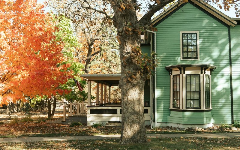 white wooden house near brown tree